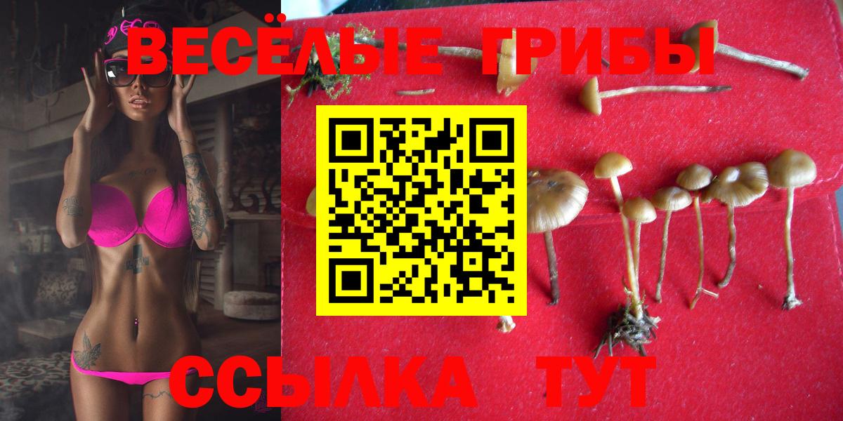 Великий Новгород  купить закладку  Вход с VPN  Галлюциногенные грибы GOLDEN TEACHER  Псилоцибиновые грибы ЛСД 